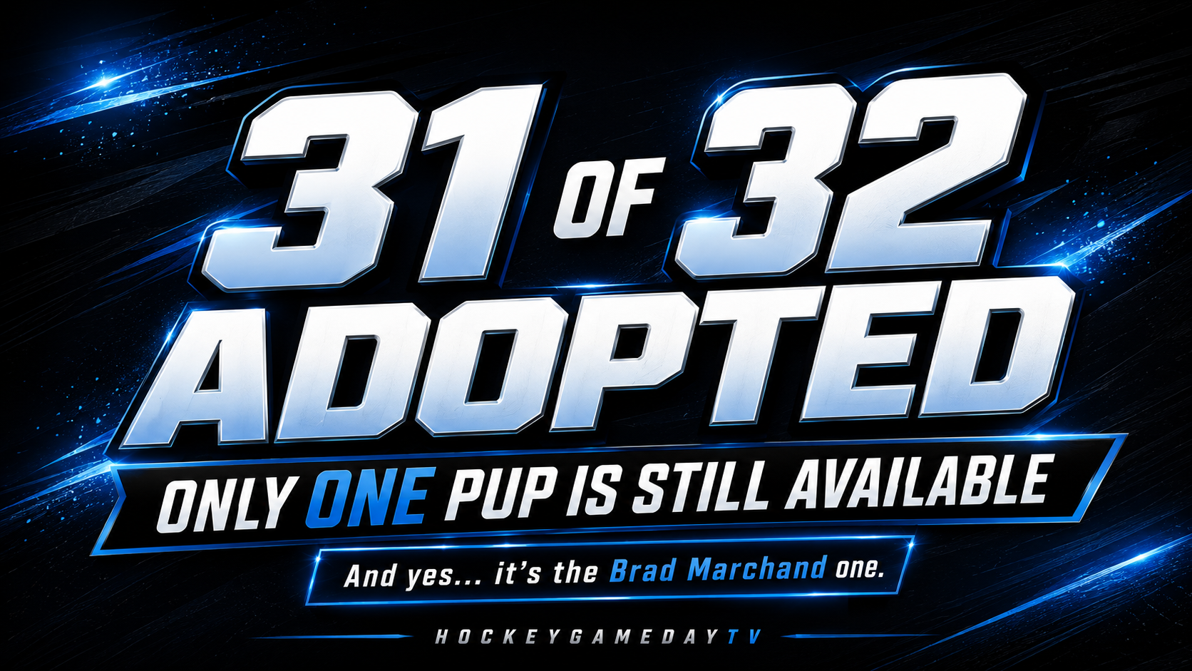 The Stanley Pup Draft Had 31 Happy Endings — And One Very Funny Brad Marchand Twist